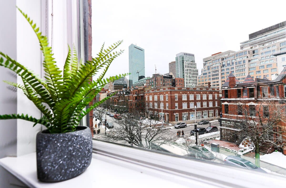 Discover Boston from Newbury Street #8