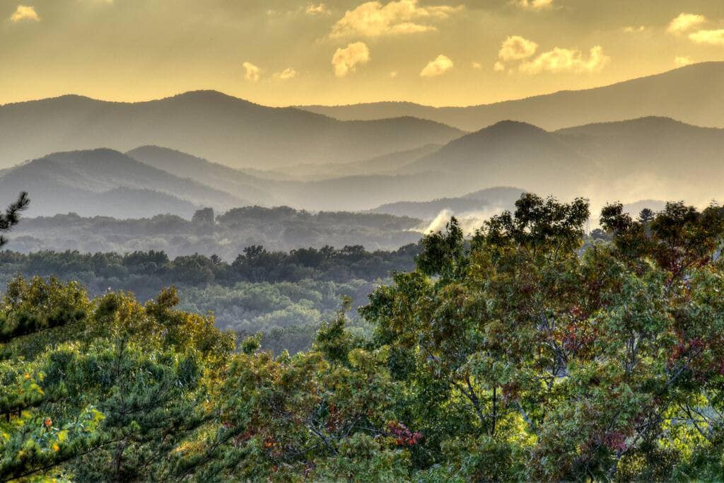 View 9