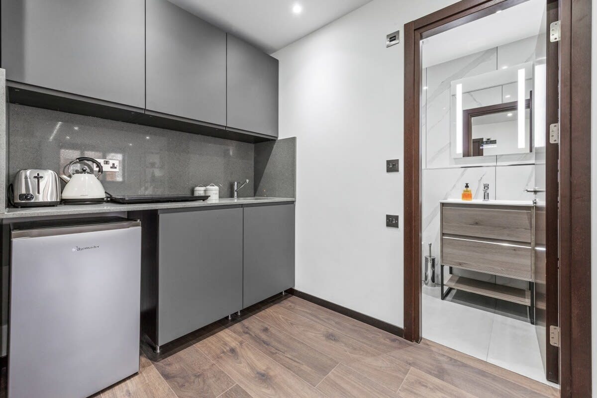 Luxury Flat in North West London in 48A Woodstock Road NW11 8ER - Property image 4 - VivreStays