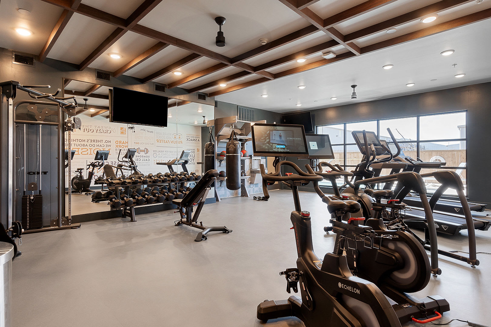 Sky-High Comfort 1BR | Gym| Pool | Pet Friendly