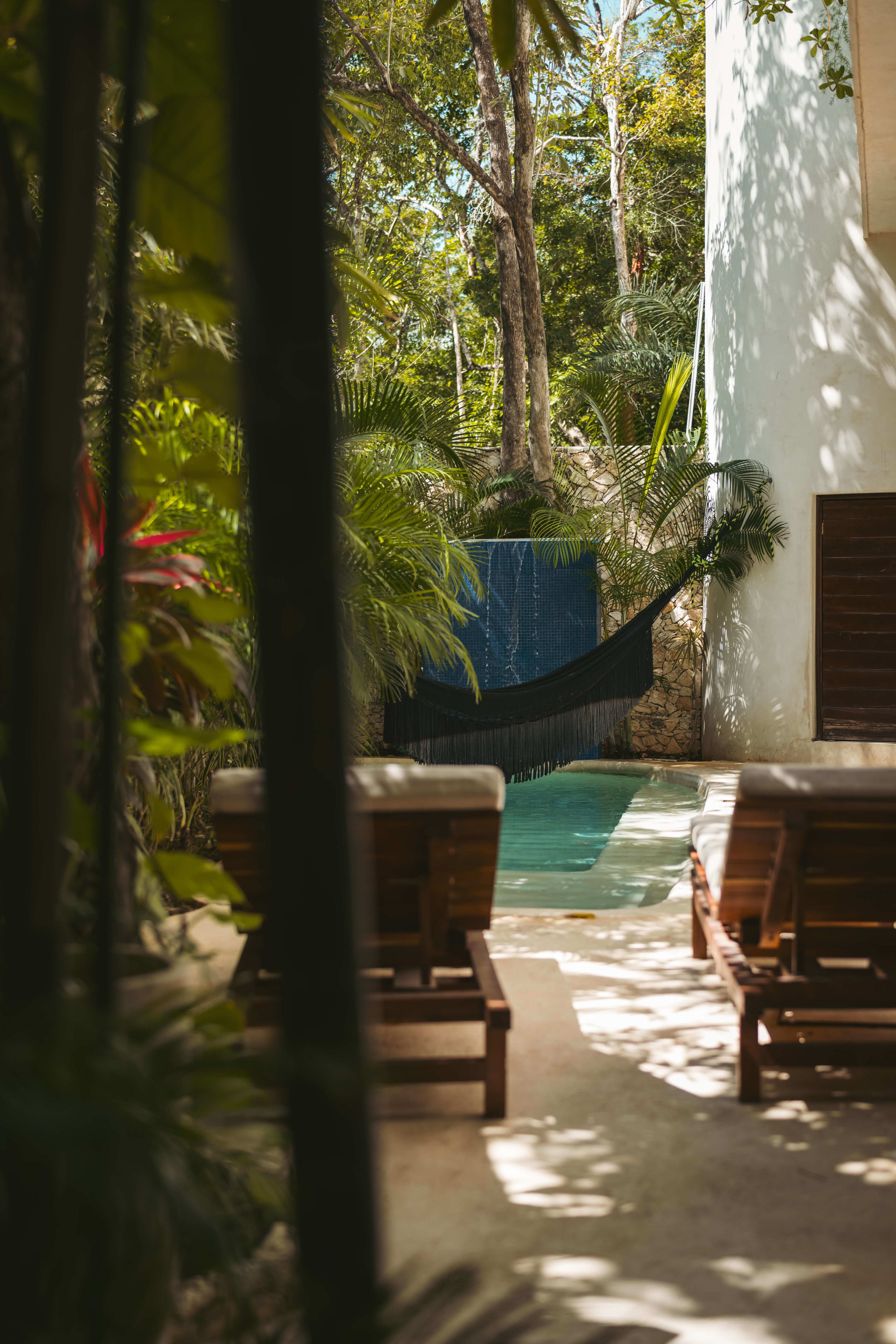 Beautiful backyard with a pool