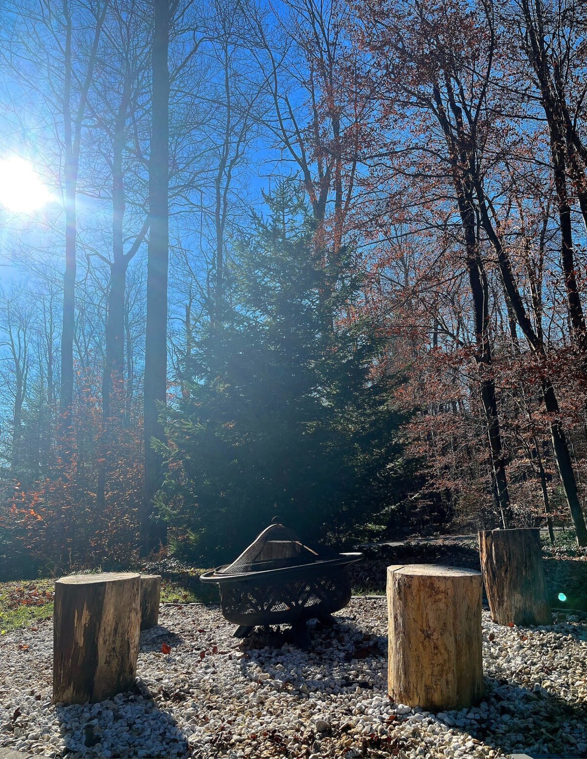 Pocono Cottage | Fireplace | Pet-Friendly | W/D