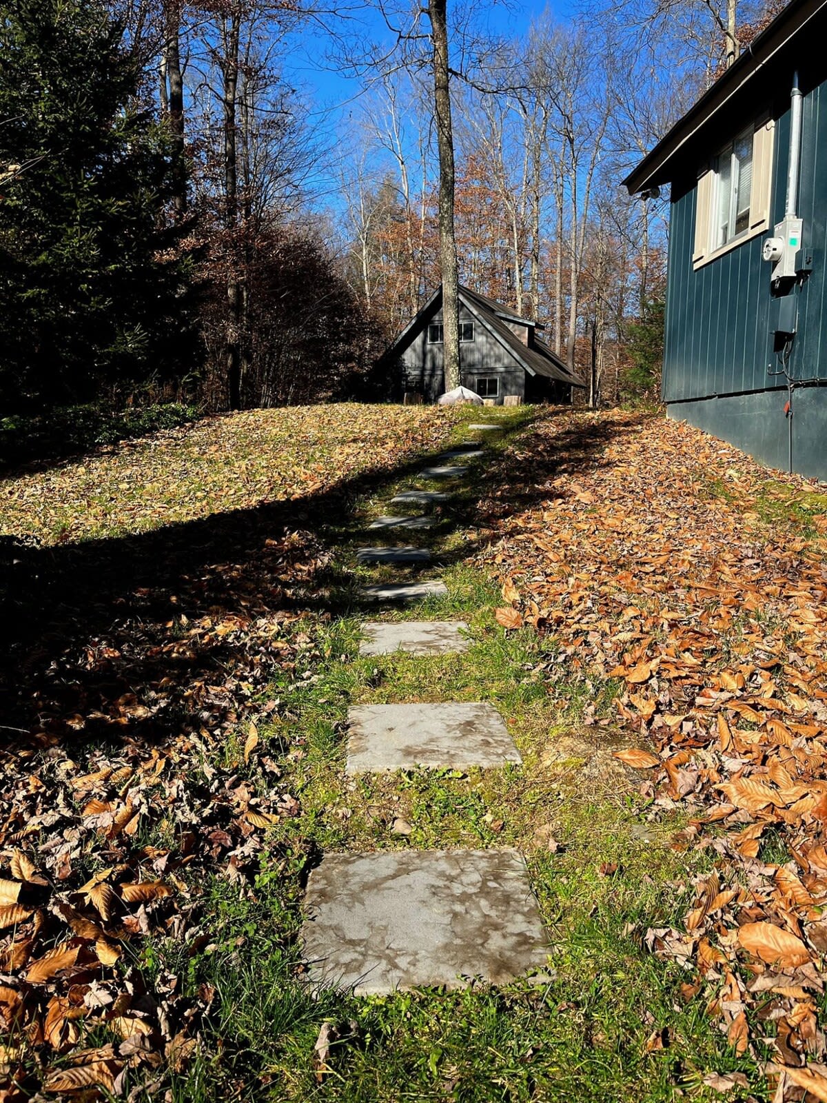 Pocono Cottage | Fireplace | Pet-Friendly | W/D