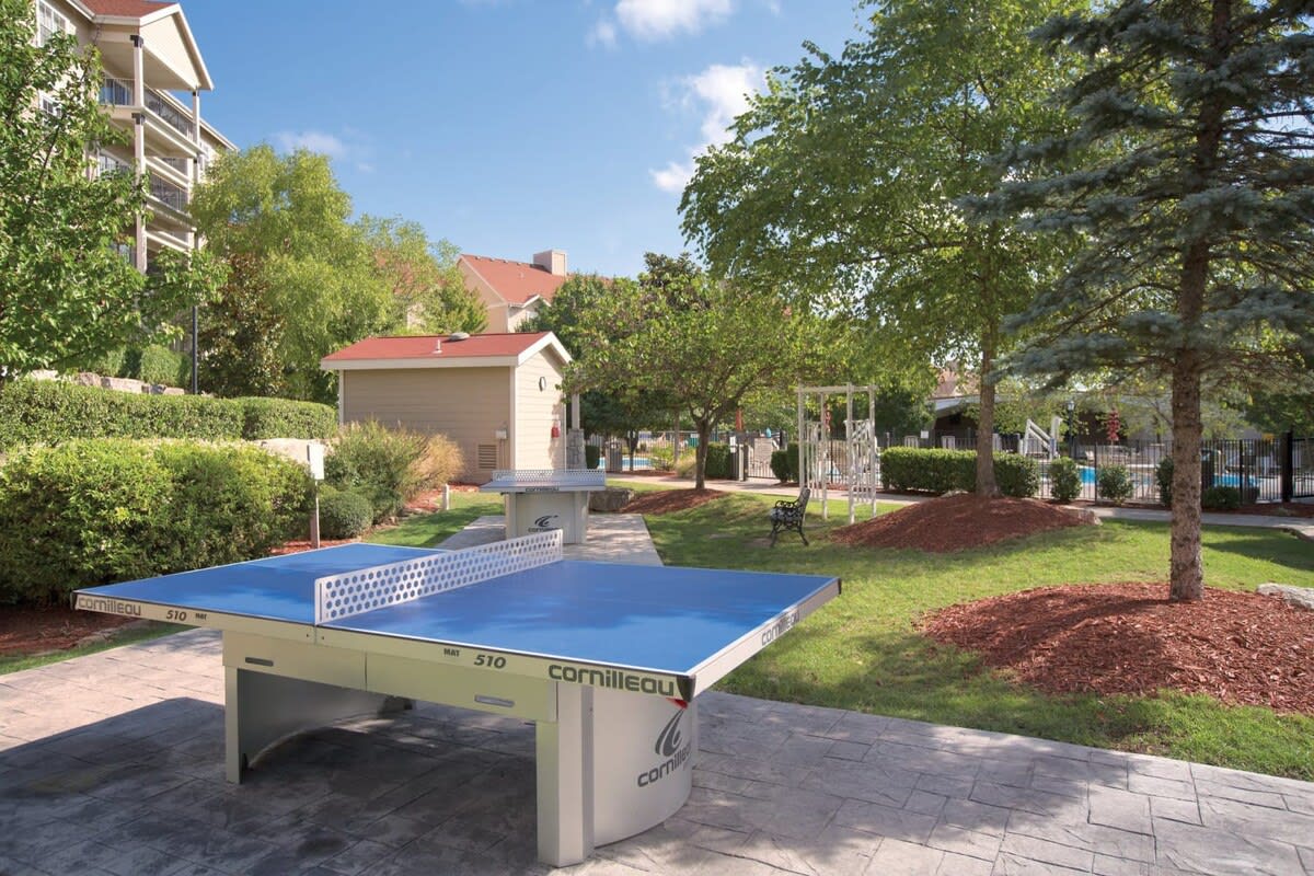 View 8