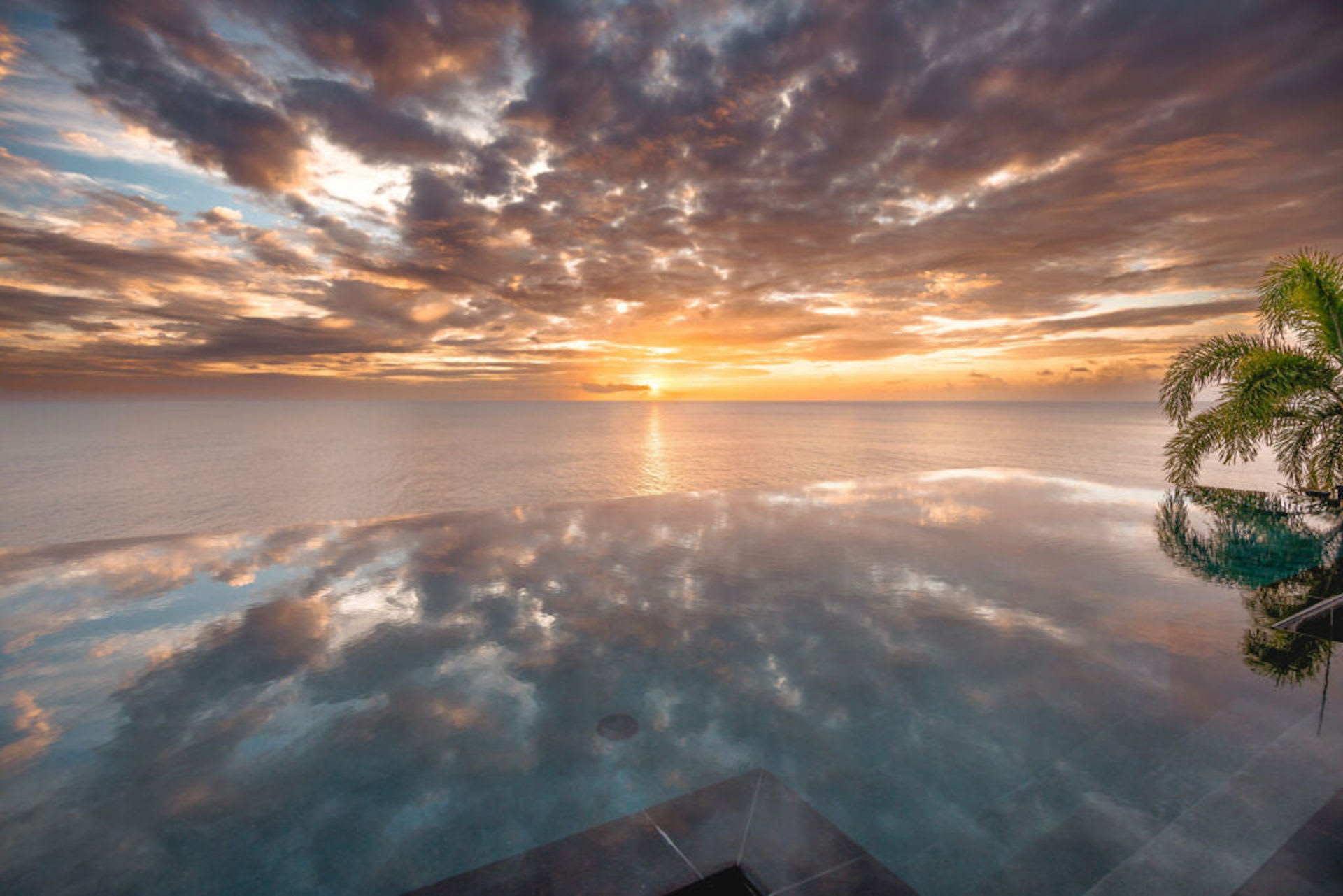 Oceanfront 4-Bedroom Retreat with Infinity Pool 5