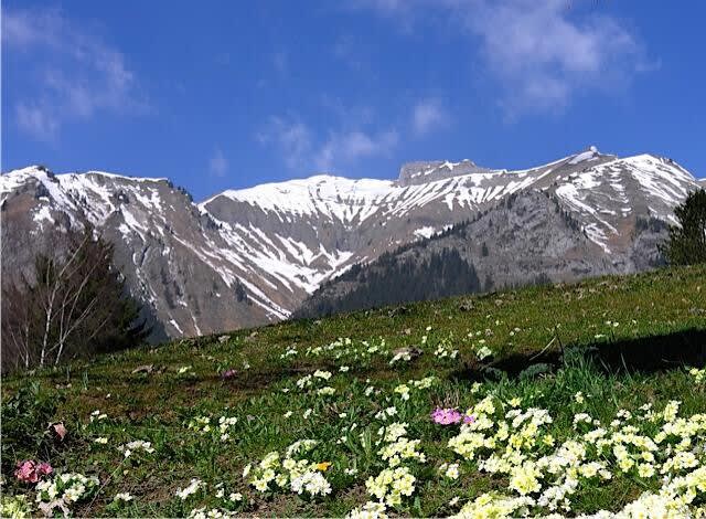 GST103 Ann Bouv Chdx