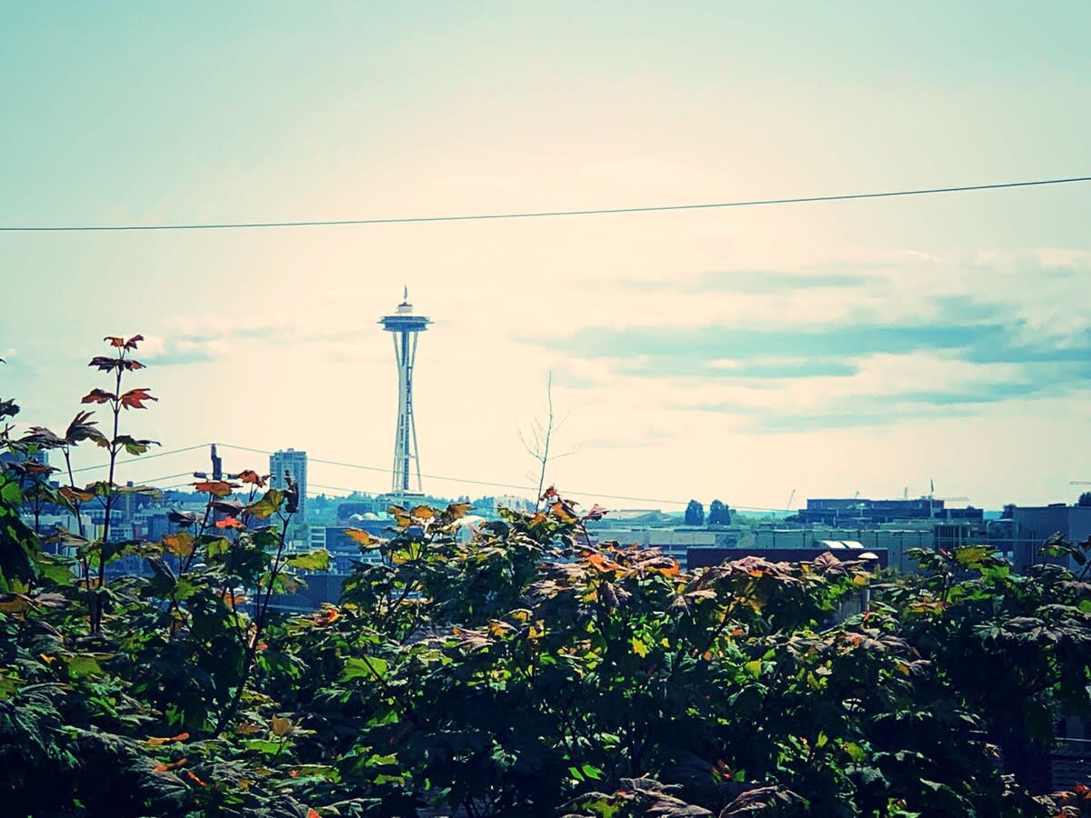 View 10