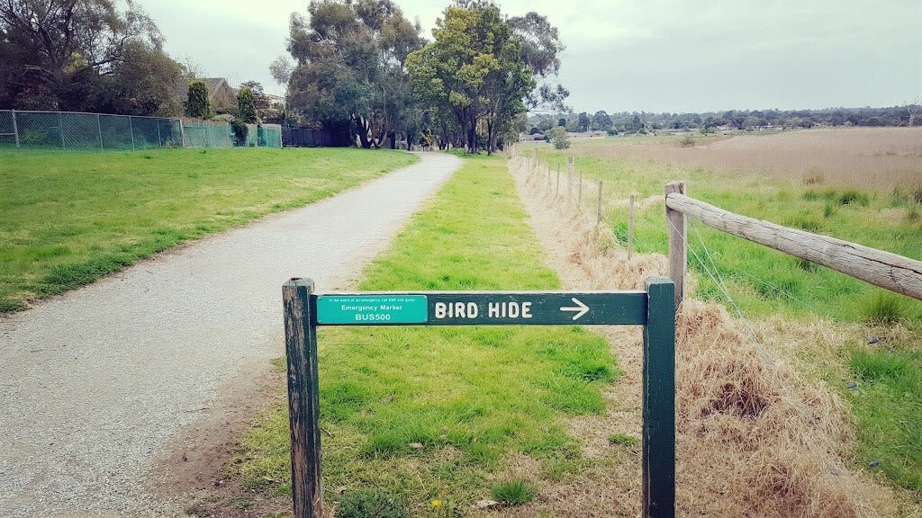 Visit Bird Hide