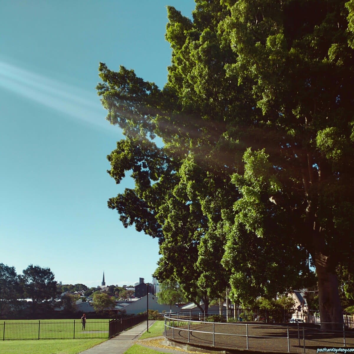 Visit the O'Dea Reserve to be surrounded by greenery