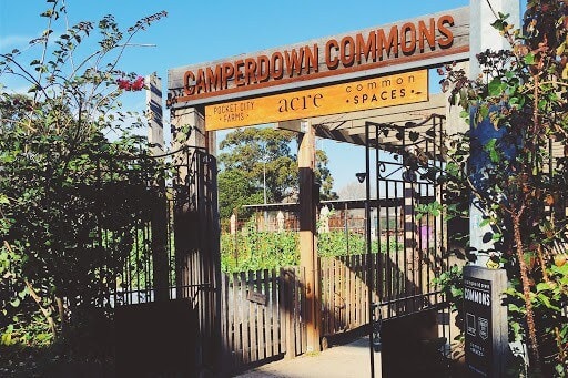 Enjoy a day in the Camperdown Commons Pocket City Farms!