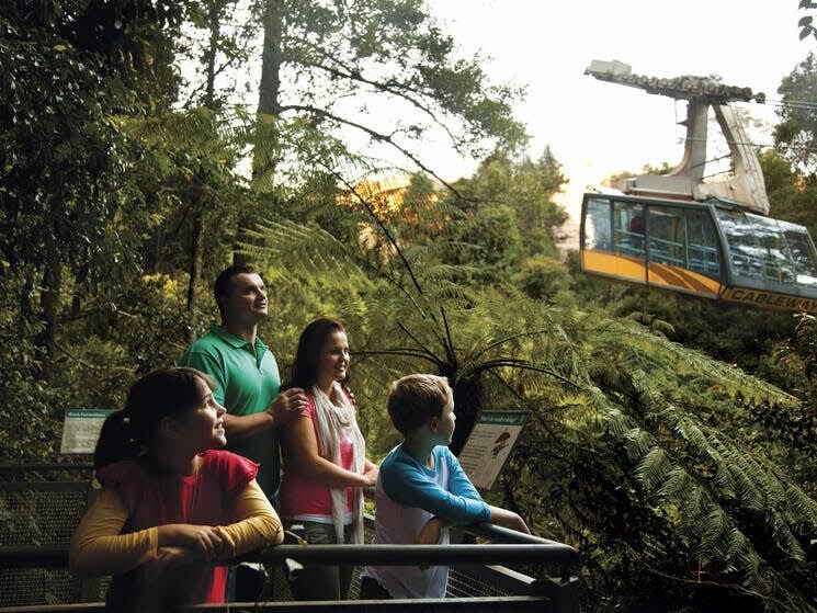 Bushwalking or just enjoy some quality time with nature at Furber Steps Scenic Railway Walking Track