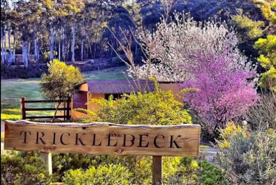 Tricklebeck in Spring