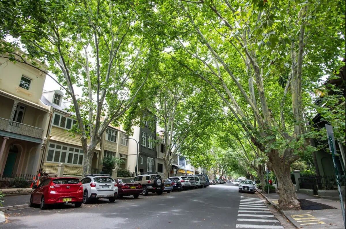 Leafy Streets