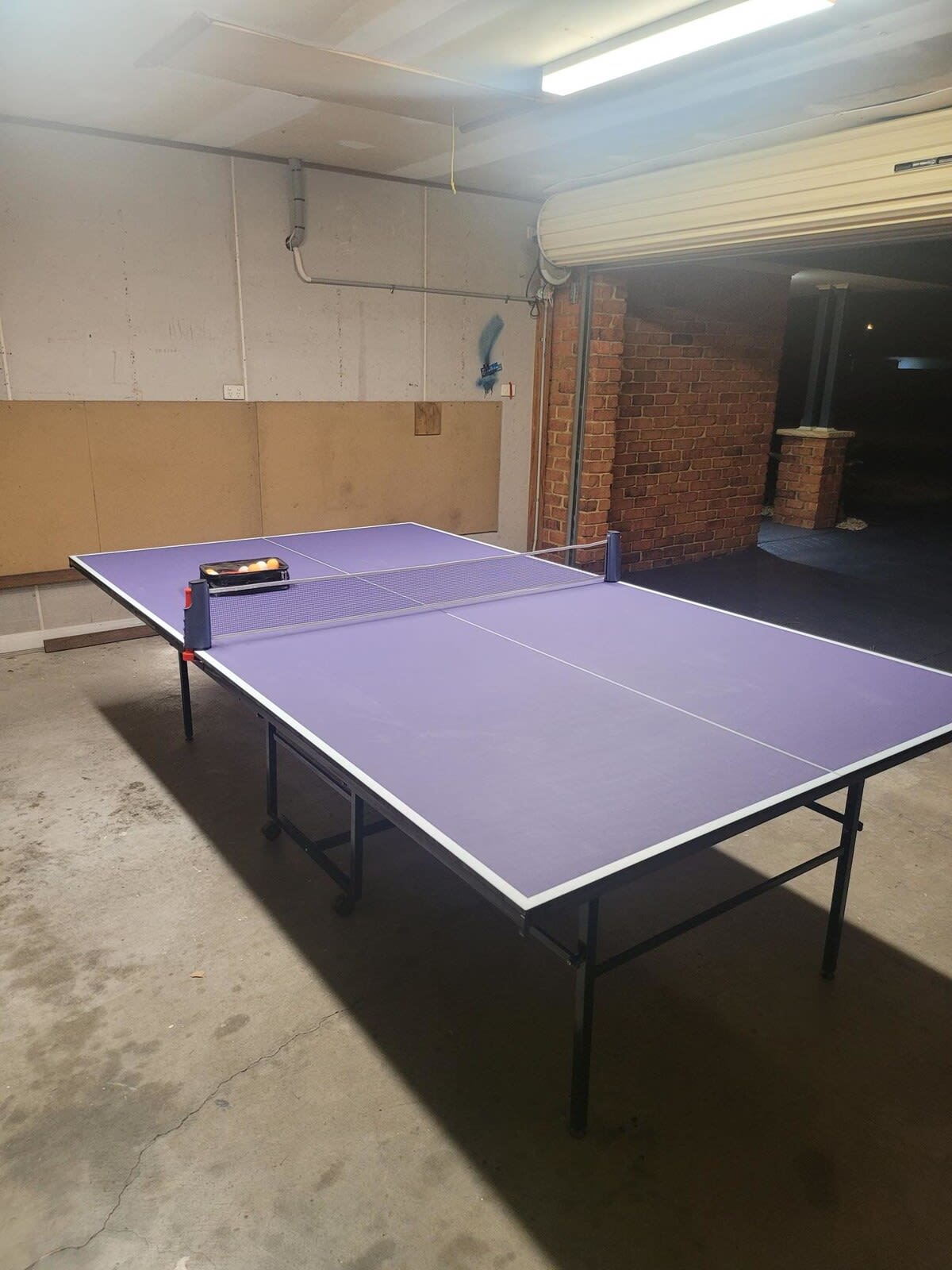 Table Tennis in the Garage