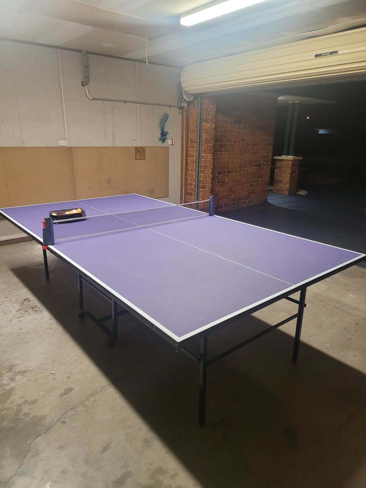 Table Tennis in the Garage