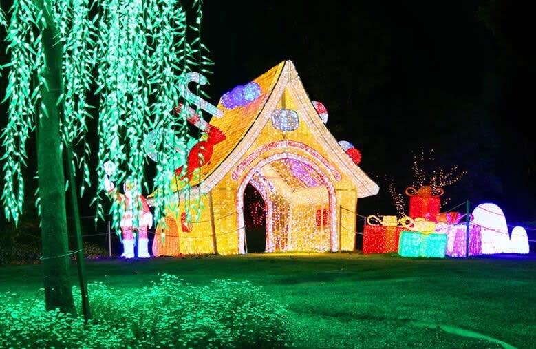 Hunter Valley Christmas Lights - Hunter Valley Gardens