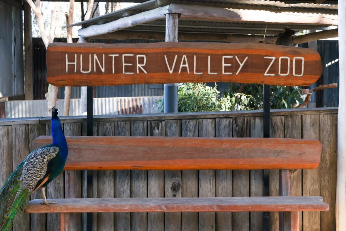 Hunter valleyHunter Valley Wildlife Park Zoo