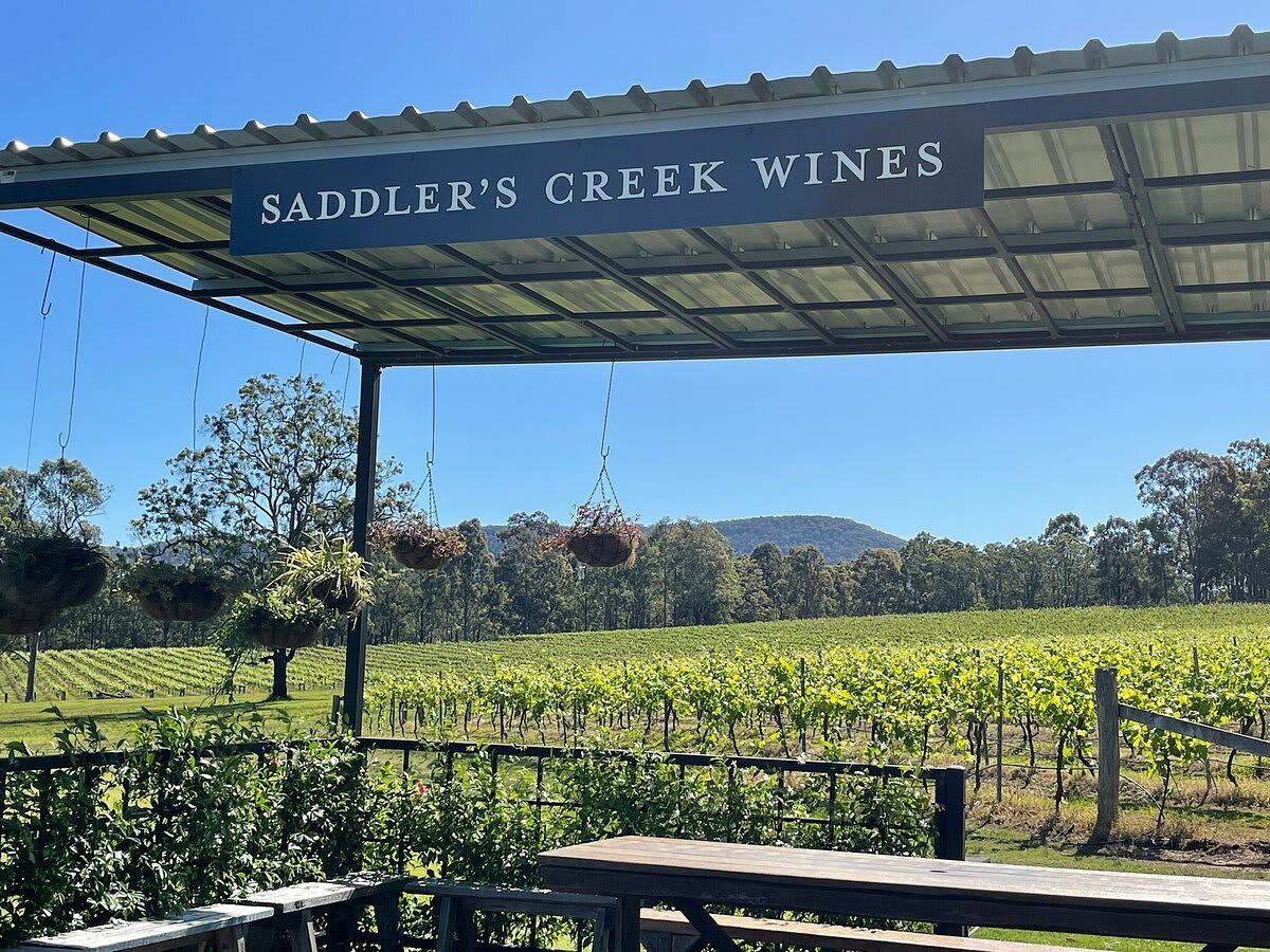 Saddler Creek Wines