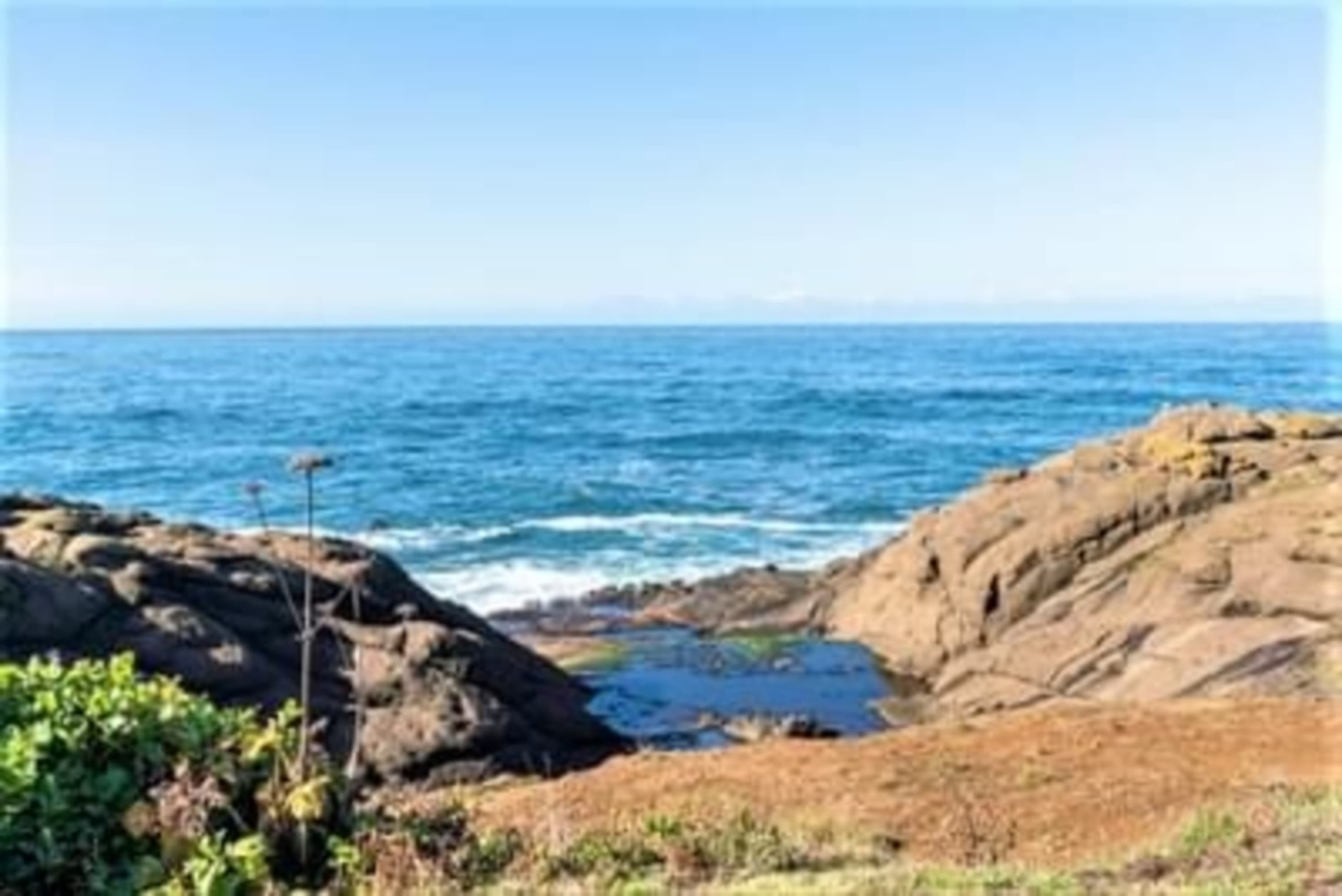 Oceanfront, Whale Watching, Pool | Nautical Breeze