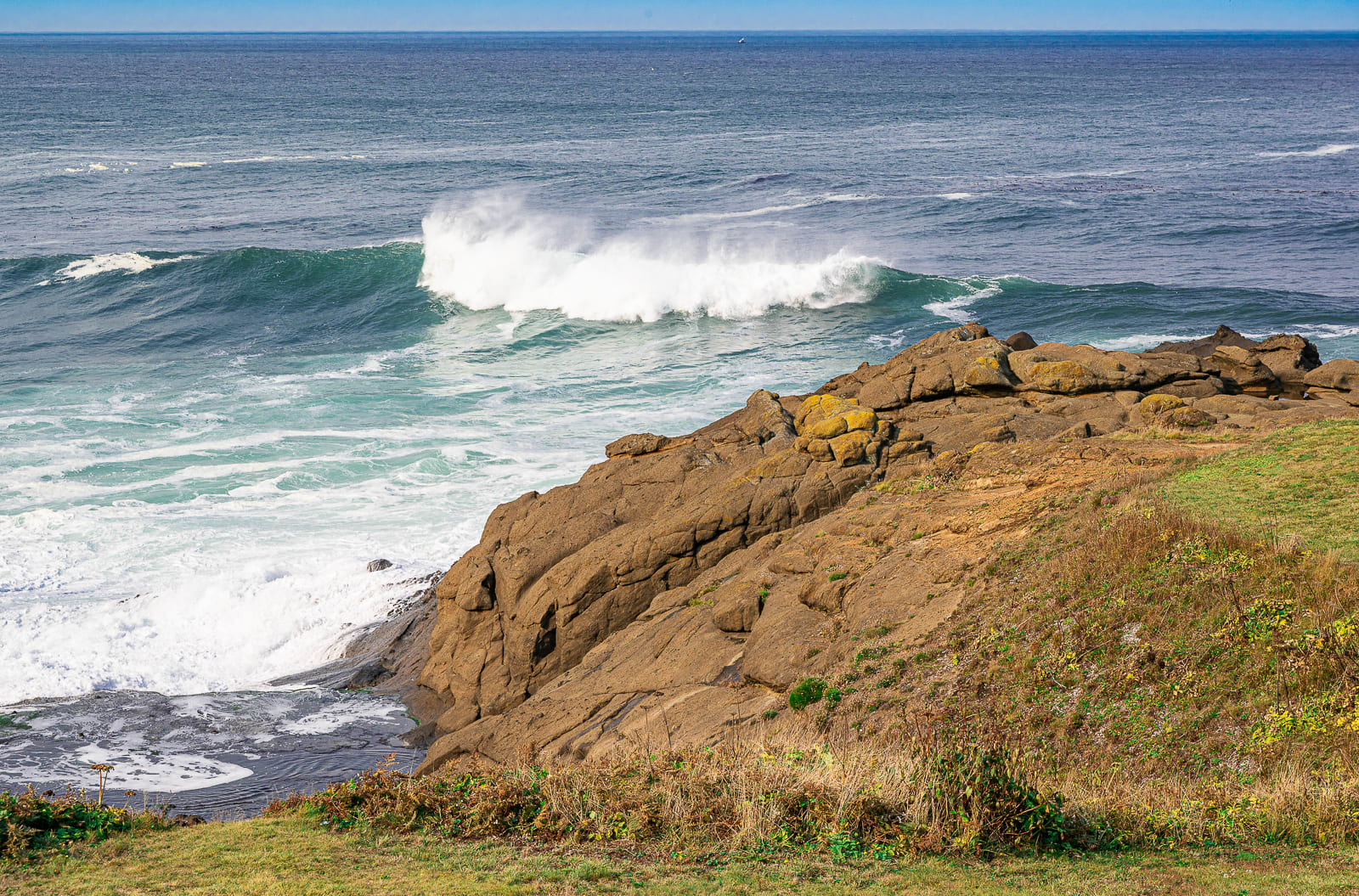 Oceanfront, Whale Watching, Pool | Nautical Breeze