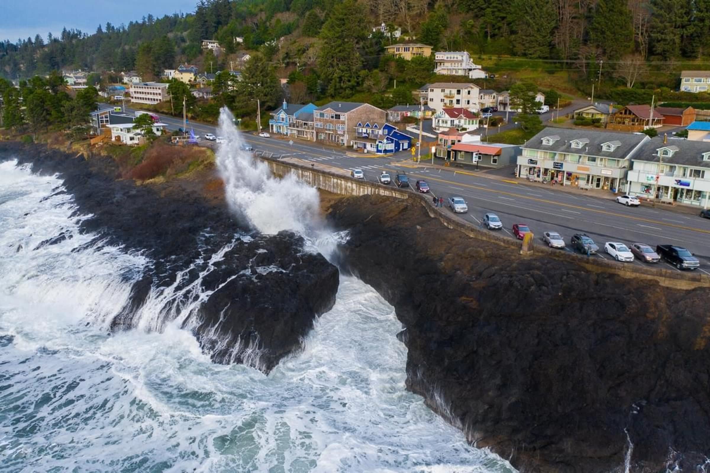 Oceanfront & Whale Watching | Coastal Breakers