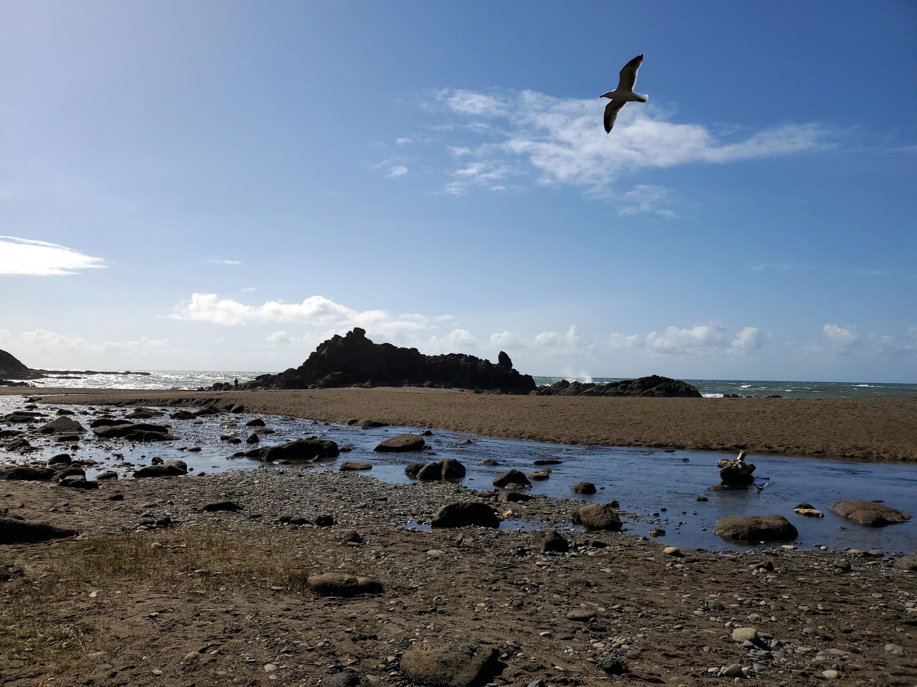 Oceanfront & Whale Watching | Coastal Breakers