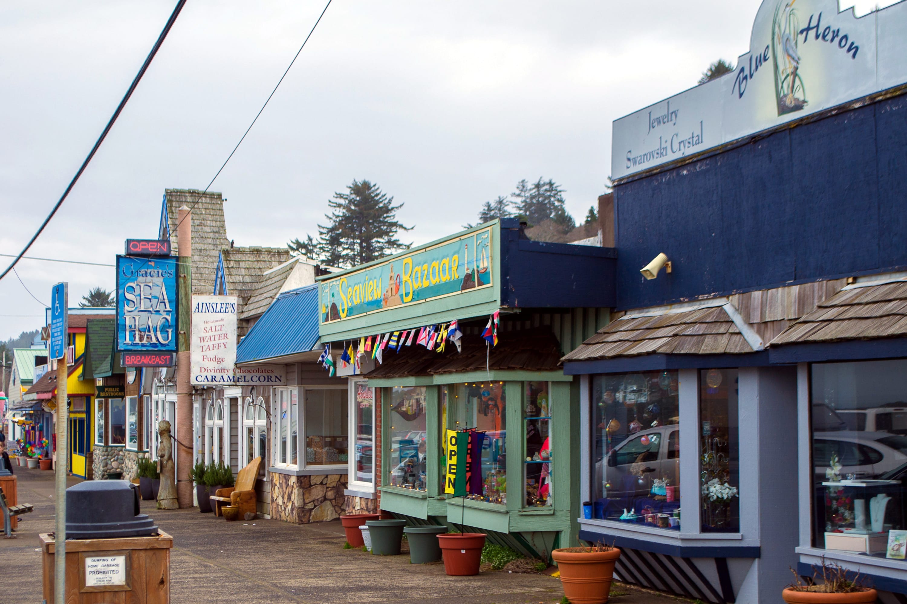 Oceanfront, Watch Whales | Reflections by the Sea