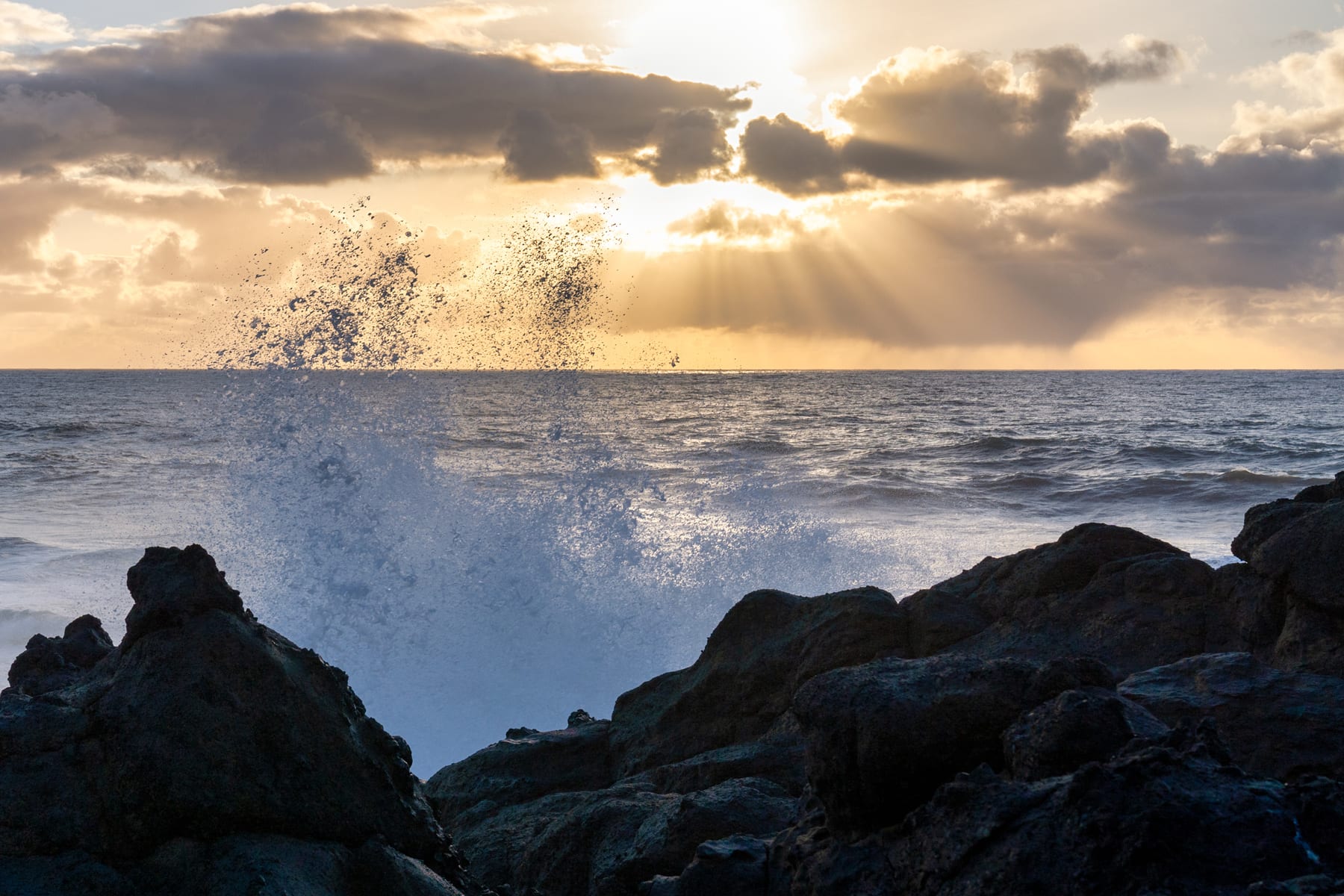 Oceanfront, Whale Watching, Pool | Thundering Sea