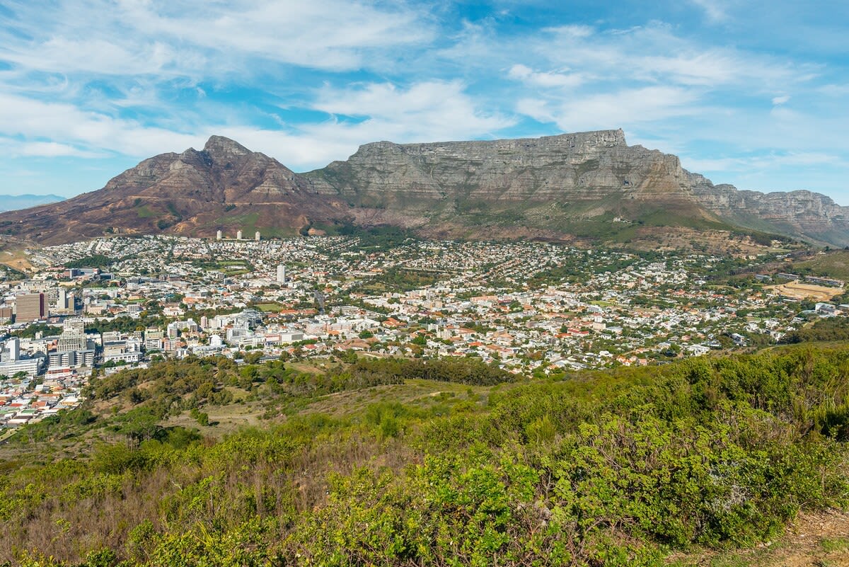 View 4