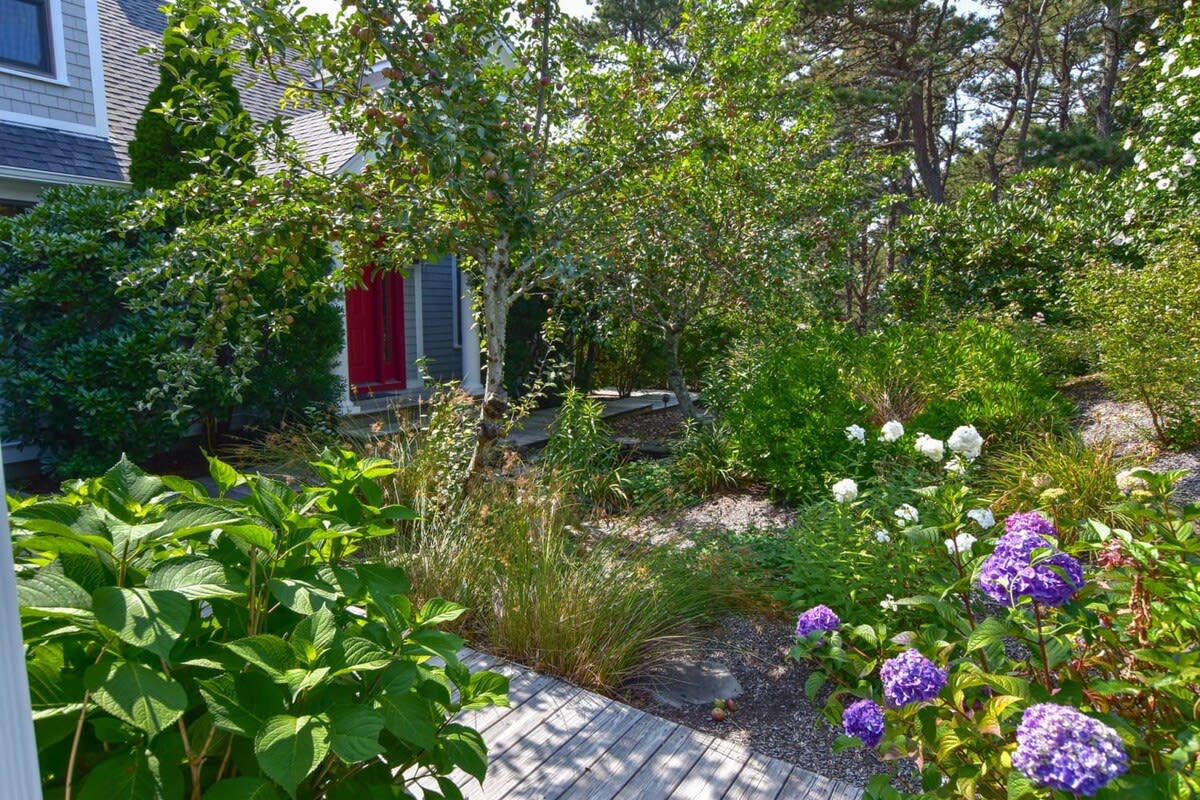 Photo of Del Mar #13337-7