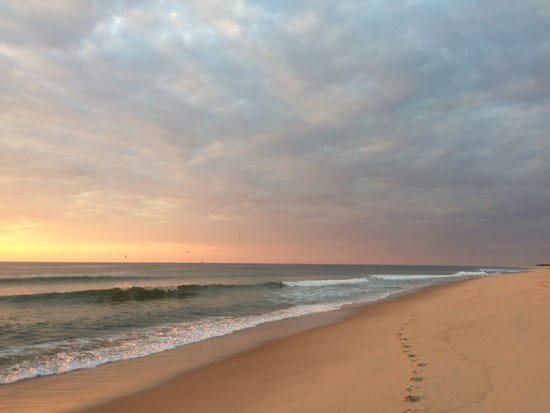 Photo 5 of Del Mar #15521