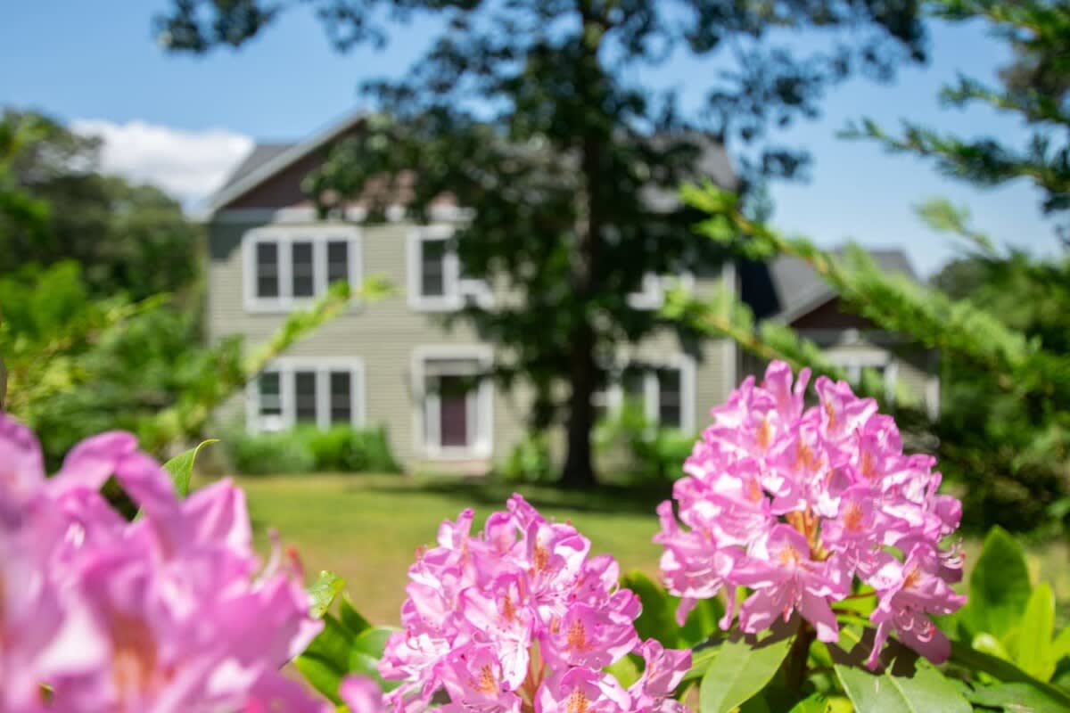 Photo 8 of Del Mar #15570