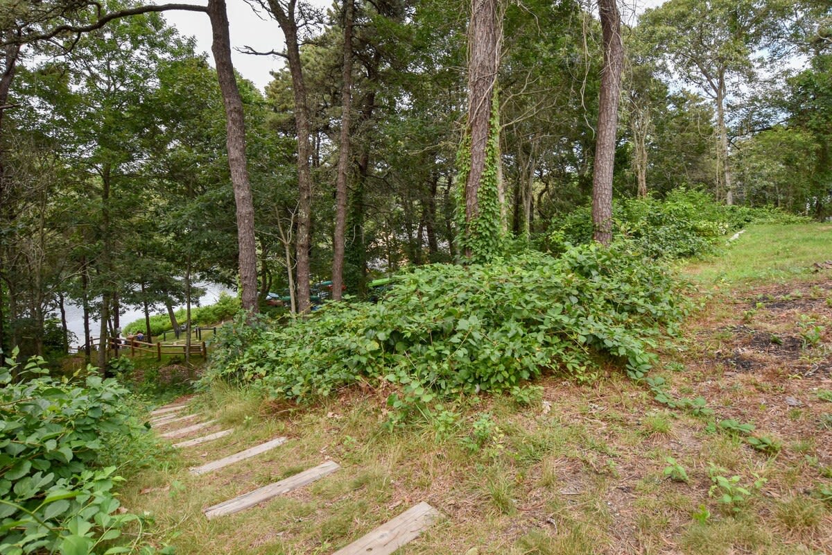 Photo 8 of Del Mar #16644