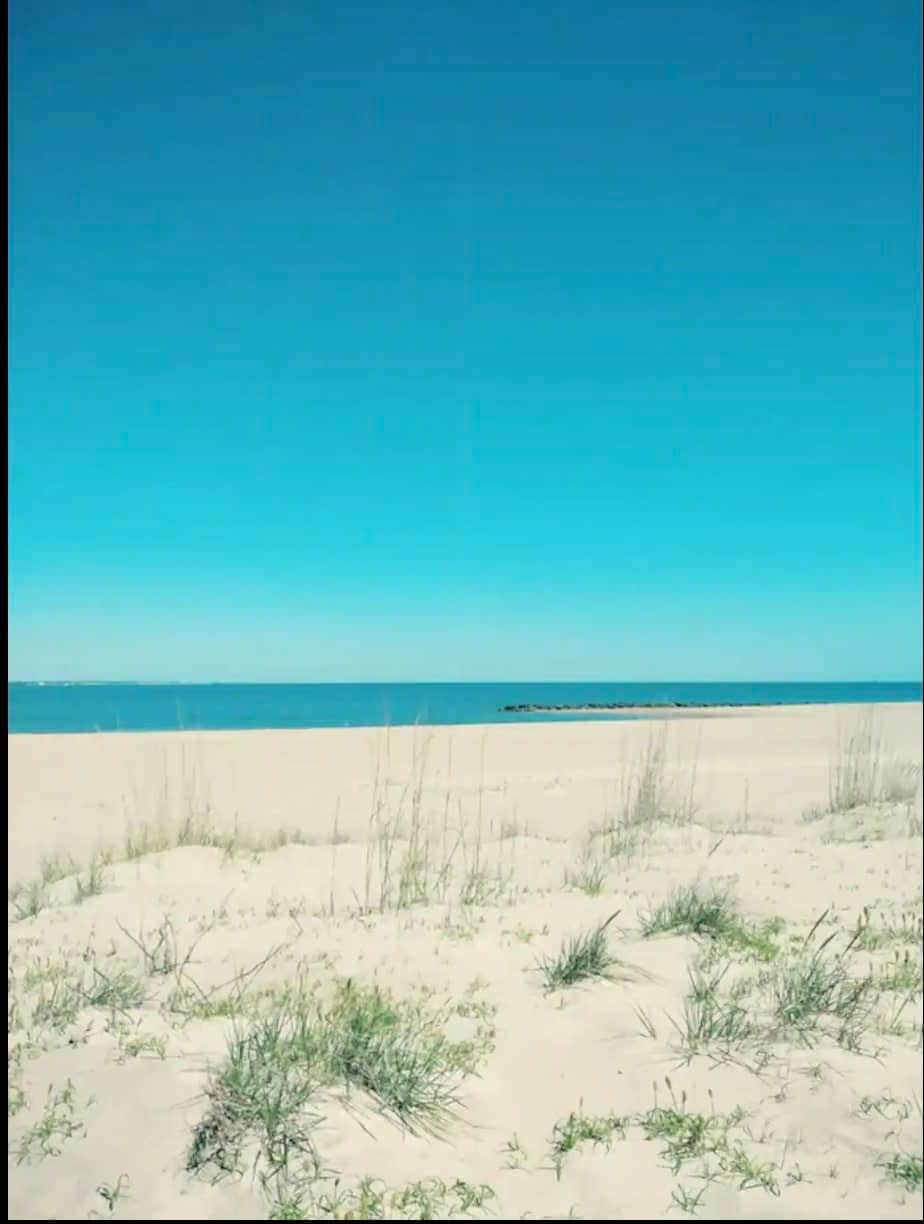 Sojourn | Ocean Hideaway 2 BR | Pets Welcome 5