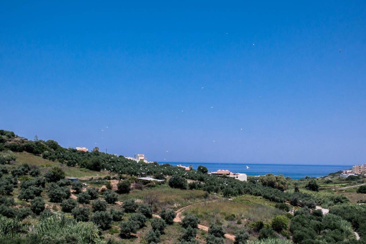 View 3
