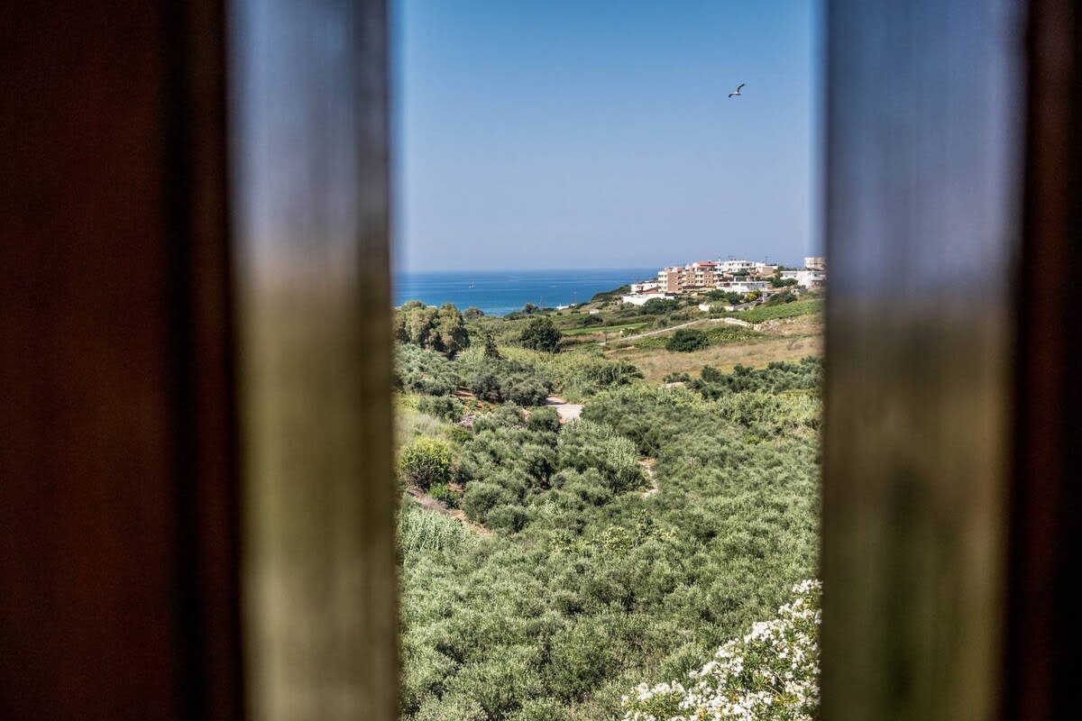 View 5