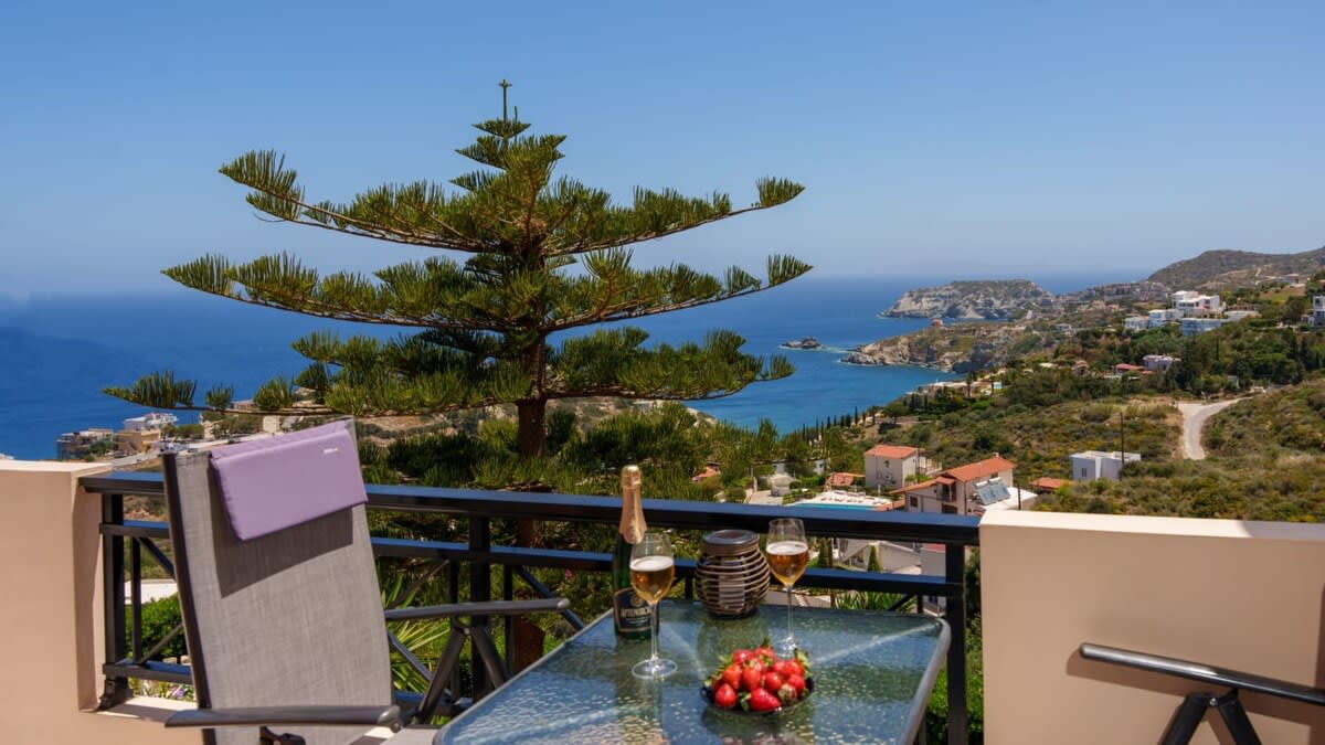 View 5