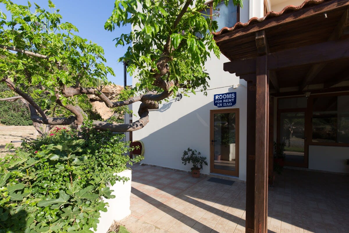View 10