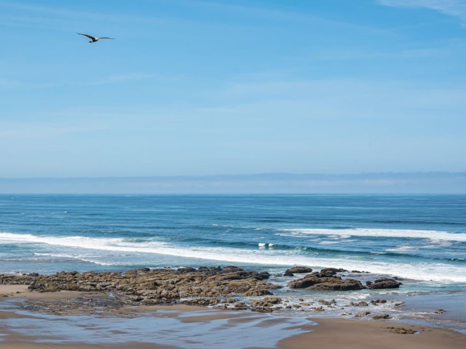 Oceanfront, Hot Tub, Pool | Pacific Rim Retreat