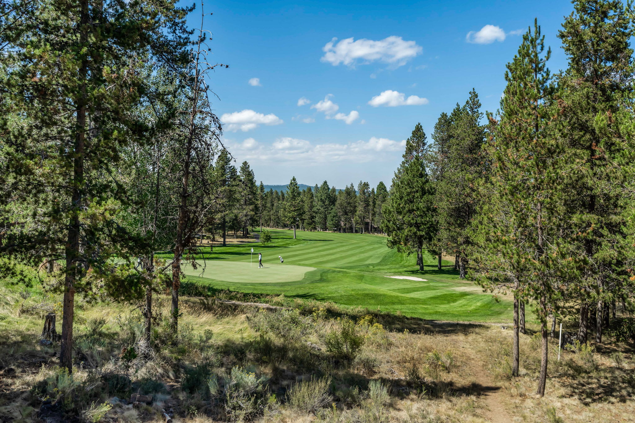 Woods and Irons Lodge - 8 Bedrooms | Sunriver, OR