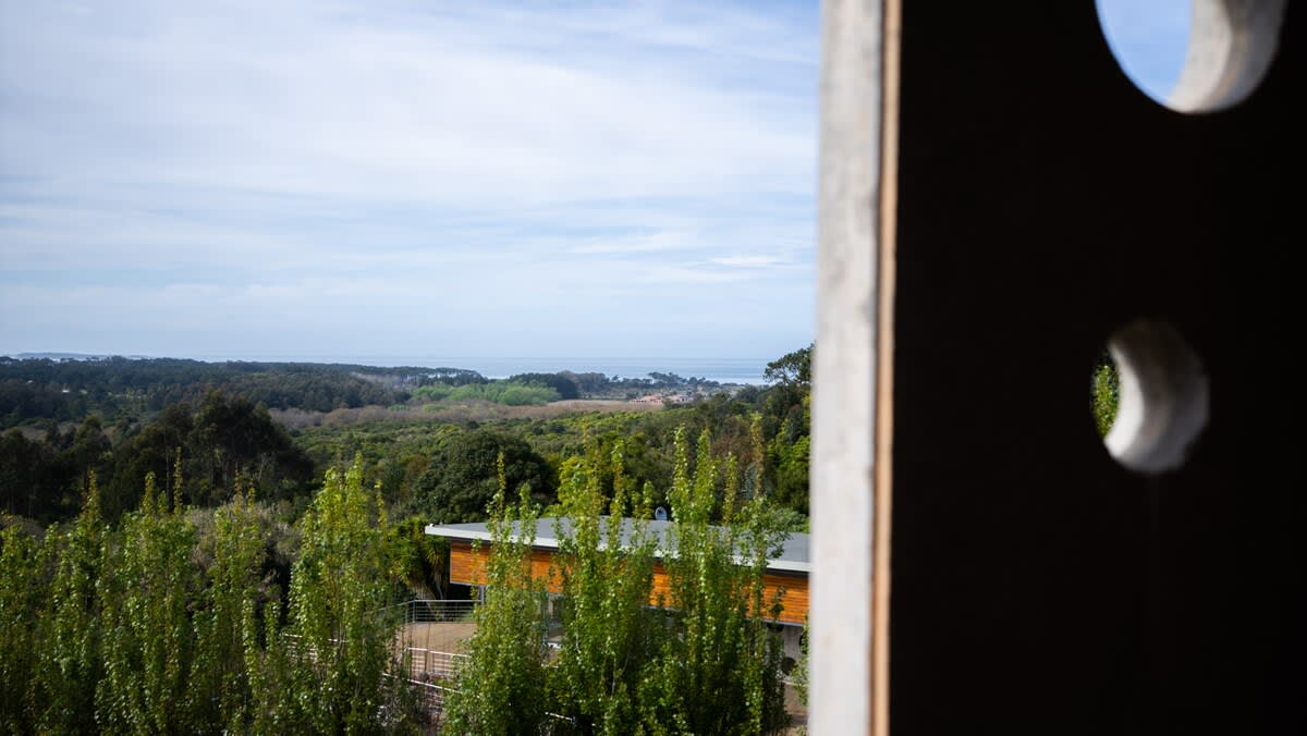 View 8