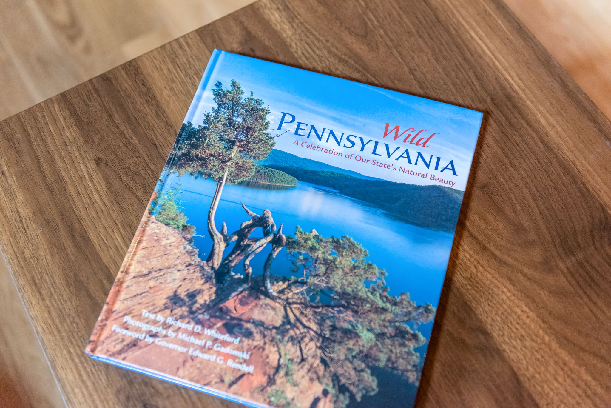 A thoughtful touch for guests to explore the beauty of the region, placed on a rustic wooden coffee table.