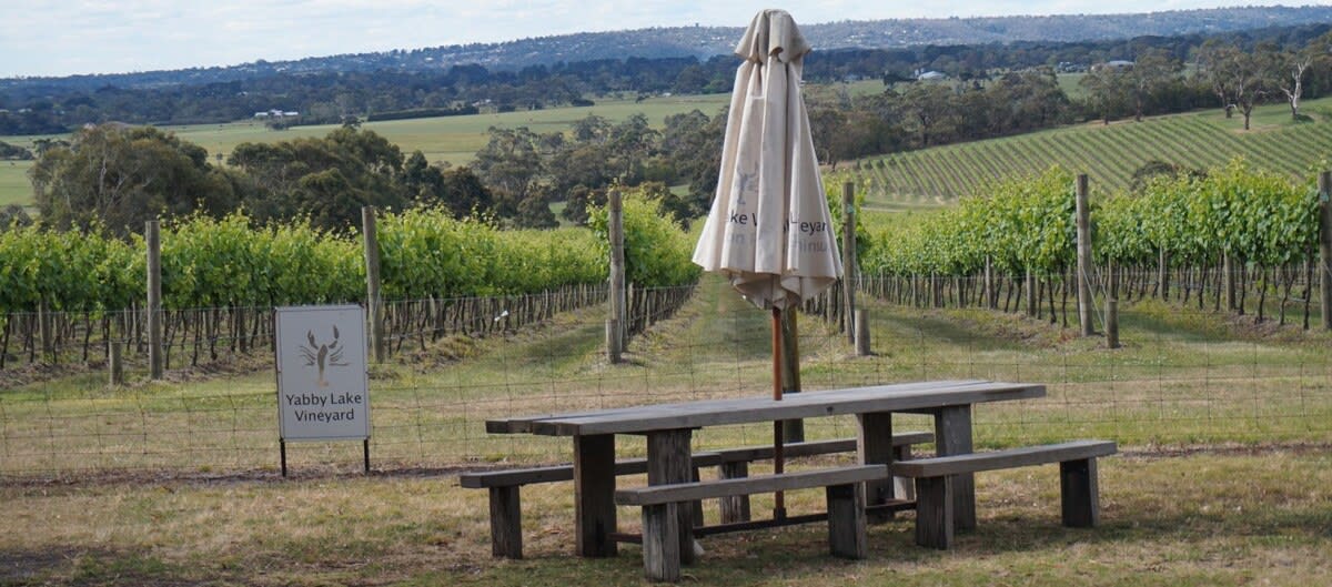 Wine Compass Mornington Tour