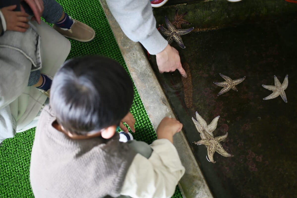 【b local KAI House】瀬戸内海の絶景を独り占め！エメラルドグリーンの別荘で良い休日を - 写真 39