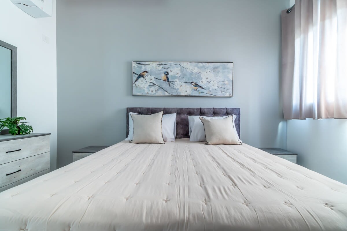 The Perfect 2 BR in Savyon View photo 34