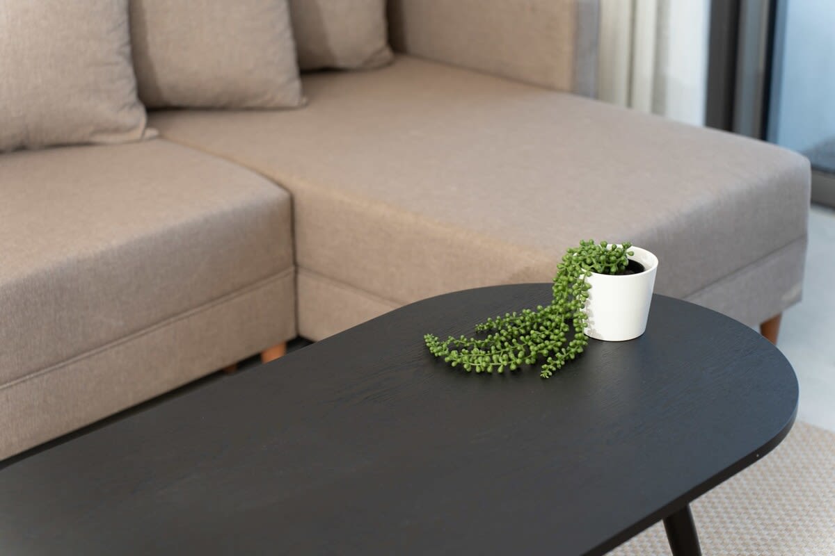 Bright & Modern 1BR in the Heart of Jerusalem – Steps from Everything photo 21