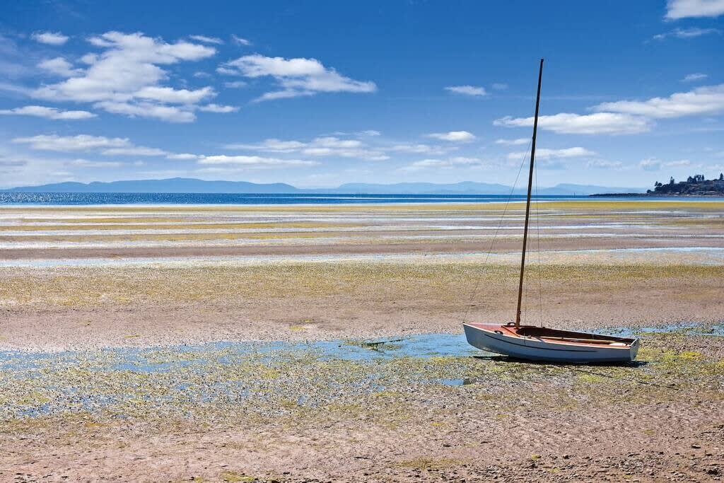 View 6