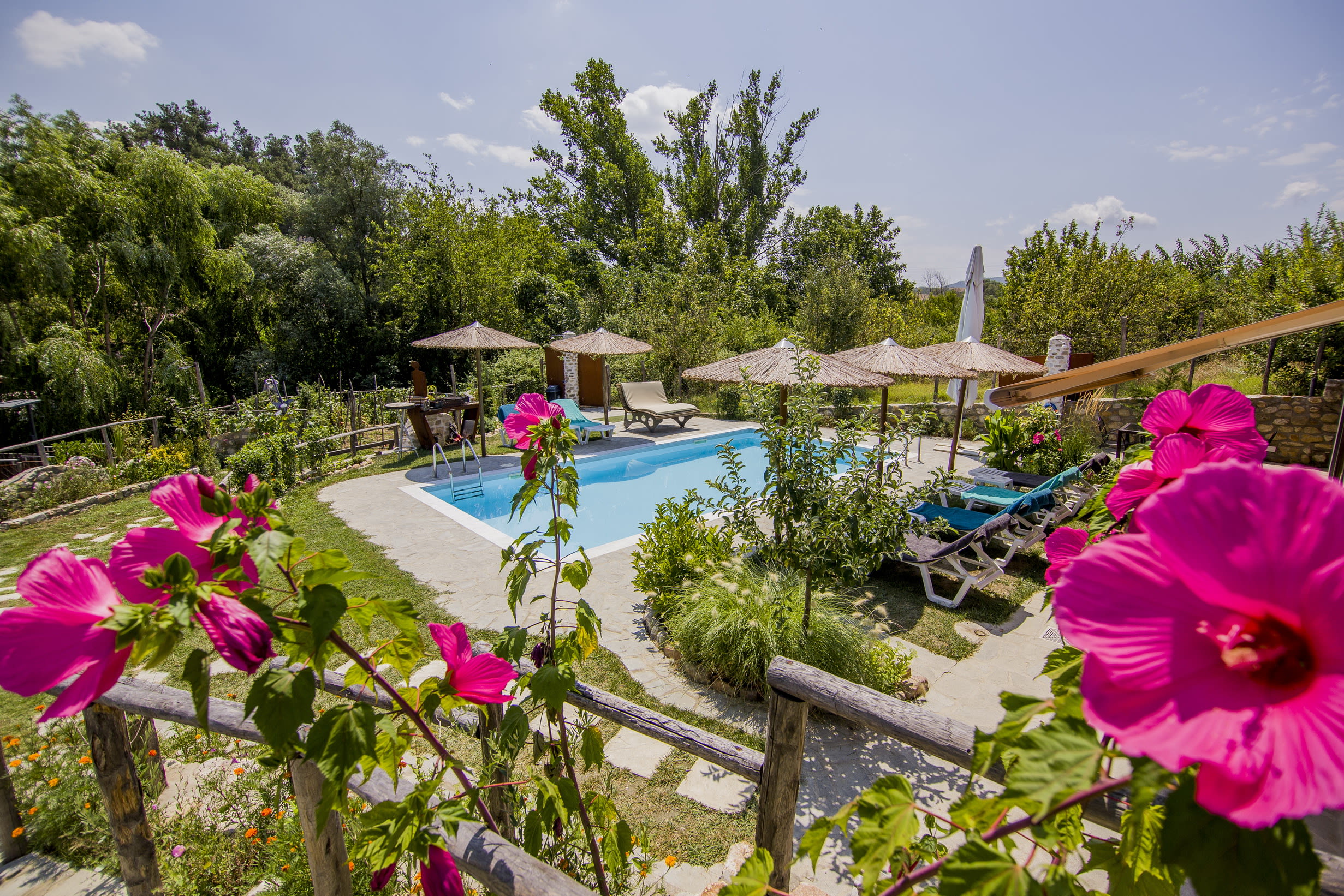 Attalos Mythical Nest - Private Pool Escapade — Efkarpia, Greek Southern Macedonia — vacation rental