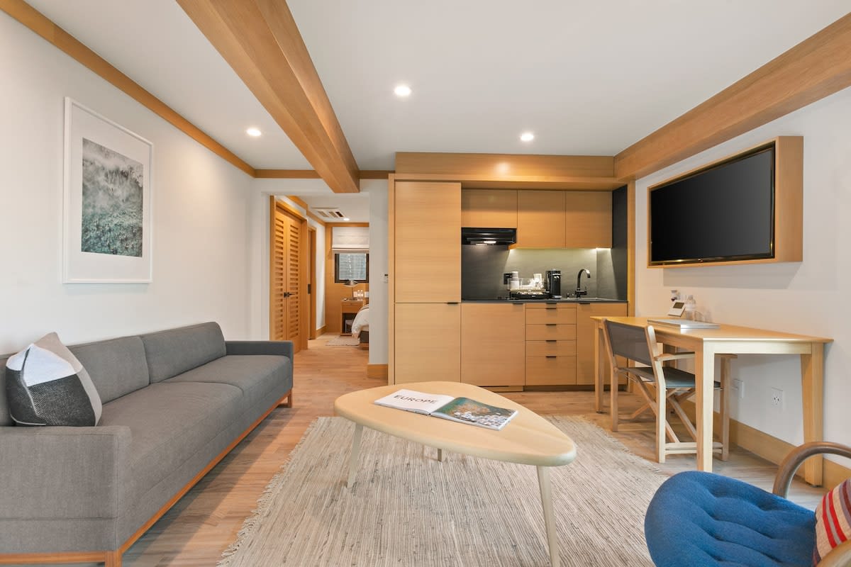 Pullout Sofa available for guests to make sleeping arrangements for 4. The pull out sofa pulls out to a Queen size bed.