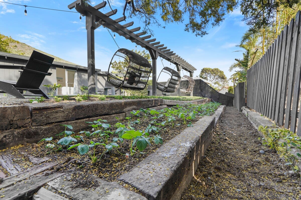 Herb garden - help yourself to organic herbs and seasonal fruits